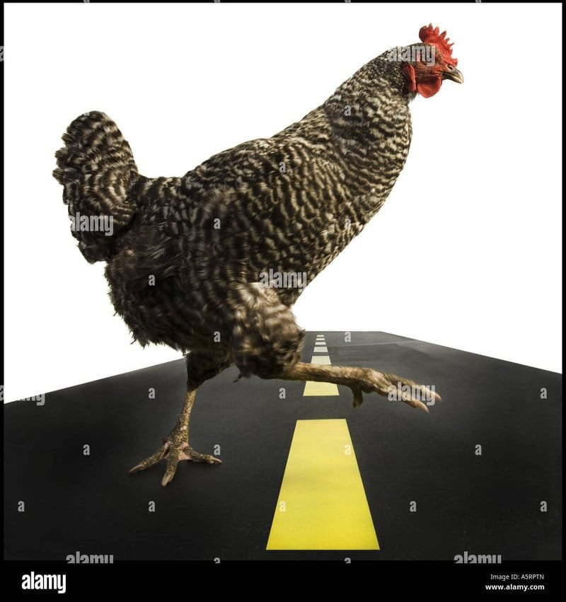 Chicken road, chicken road online